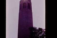 Pic 1