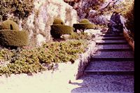 Pic 1