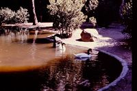 Pic 1