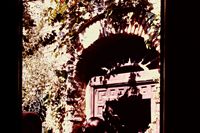 Pic 1