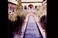 Pic 1