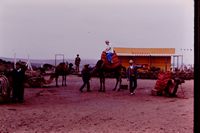 Pic 1