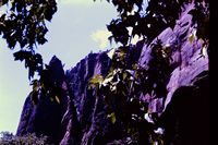Pic 1